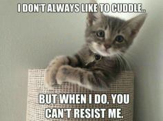 I Don't Always Like to Cuddle