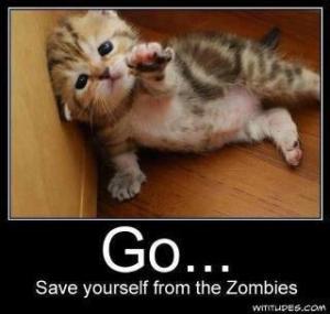 Save Yourself From the Zombies