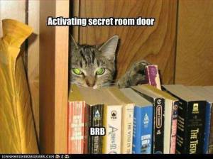 Activating Secret Room Door