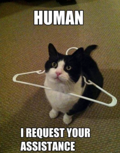 Human, I Request Your Assistance