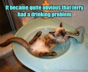 0980f-it2bbecame2bquite2bobvious2bthat2bjerry2bhad2ba2bdrinking2bproblem