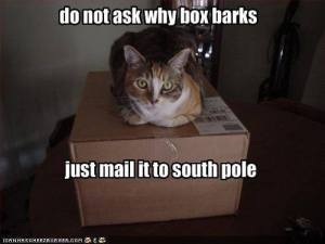Do Not Ask Why Box Barks