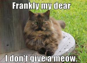 Frankly My Dear I Don't Give a Meow