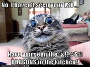 I Haven't Seen Your LSD