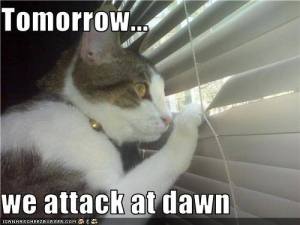 Tomorrow We Attack at Dawn