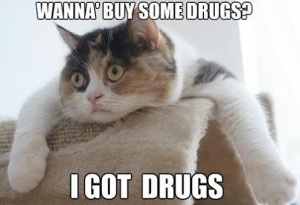 Wanna Buy Some Drugs