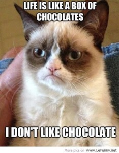 I Don't Like Chocolates