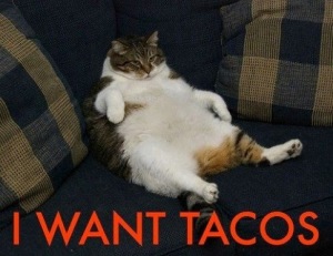 I Want Tacos