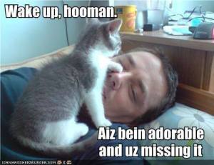 Wake Up, Hooman