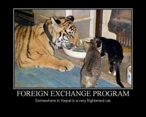Foreign Exchange Program