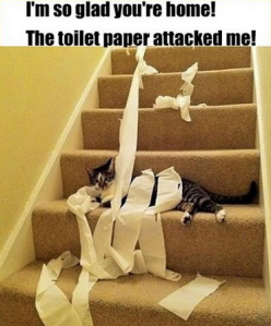 Toilet Paper Attack