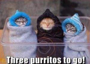 Three Purritos