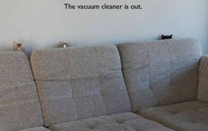 The Vacuum Cleaner is Out