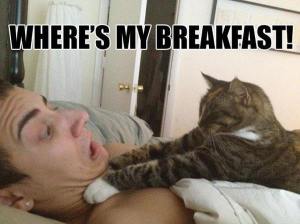 Where's My Breakfast