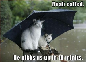 Noah Called