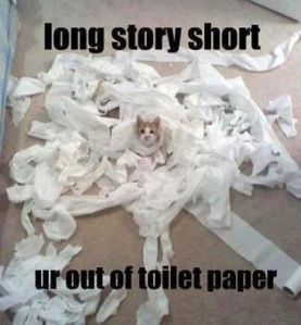 Out of Toilet Paper