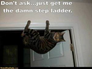 step-ladder