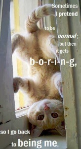being-normal-is-boring