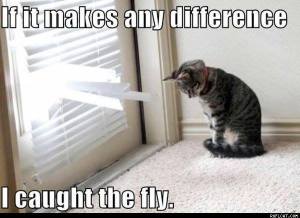 if-it-makes-any-difference-i-caught-the-fly