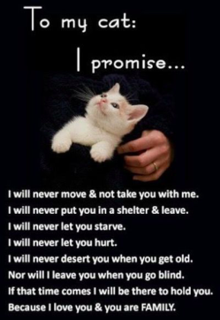 i-promise